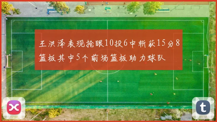 王洪泽表现抢眼10投6中斩获15分8篮板其中5个前场篮板助力球队