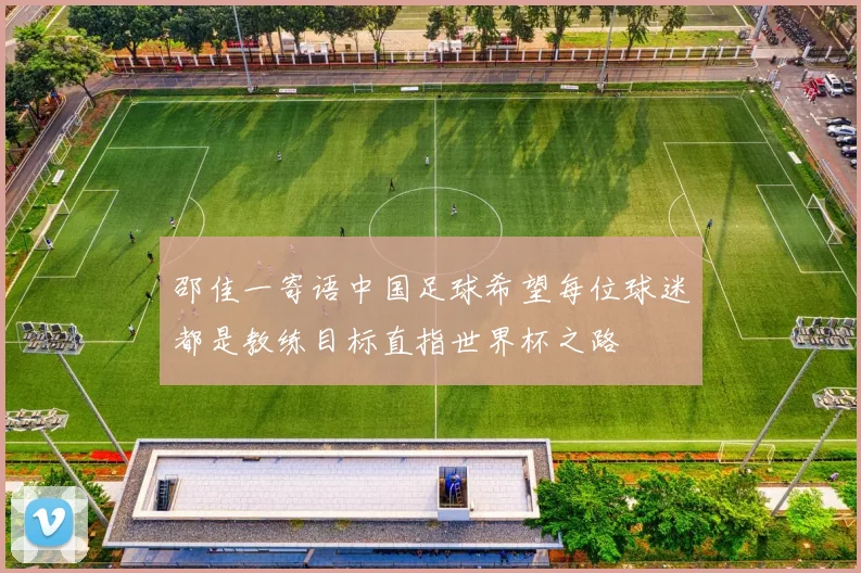 邵佳一寄语中国足球希望每位球迷都是教练目标直指世界杯之路