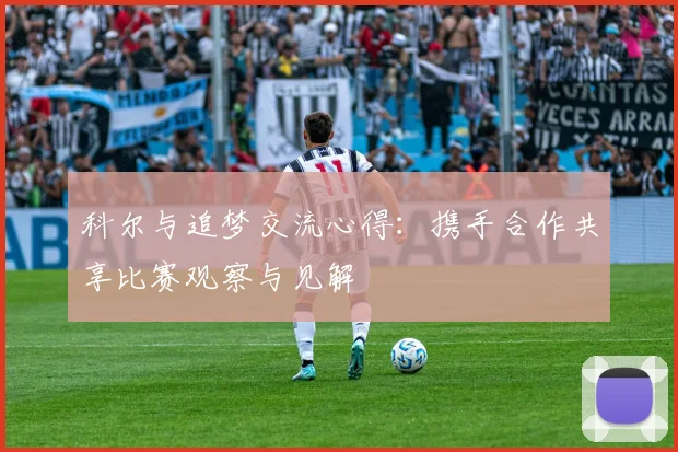 科尔与追梦交流心得：携手合作共享比赛观察与见解